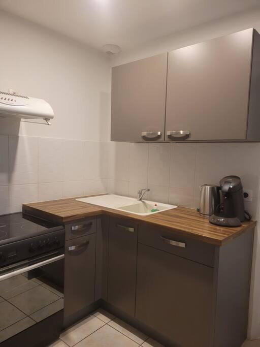 Appartement Sur La Place De Poncin Exterior photo